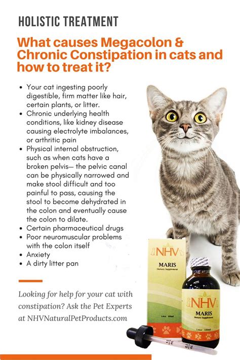 Palatable powder formula. . Glycerin for cat constipation